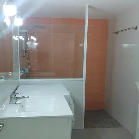 Oasis A6 * Rosas
