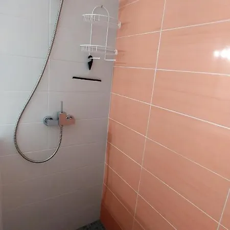 Oasis A6 * Rosas
